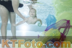 Photo 4302855