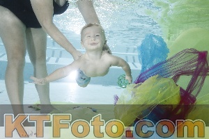 Photo 4302856