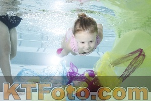 Photo 4302860