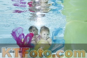 Photo 4302864