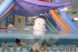 Photo 4302908