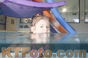Photo 4302919