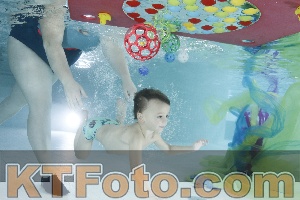 Photo 4302930