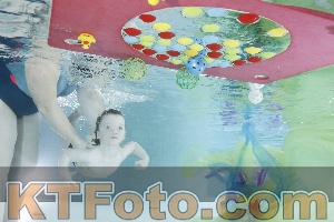 Photo 4302931