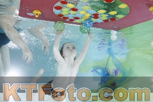 Photo 4302933