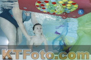Photo 4302938