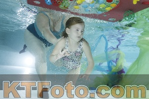 Photo 4302948