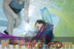 Photo 4302988