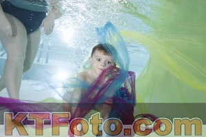 Photo 4302989