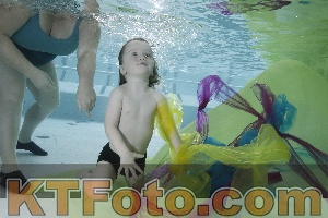 Photo 4302992