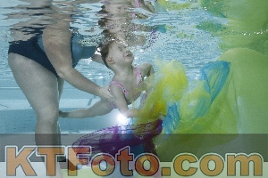 Photo 4302995