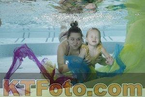 Photo 4303010