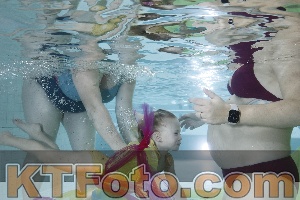Photo 4303012