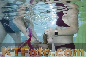 Photo 4303013
