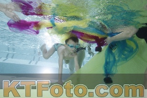 Photo 4303019