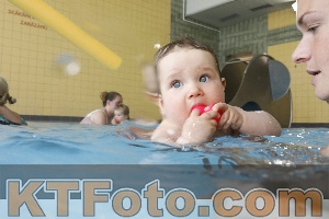 Photo 4261550