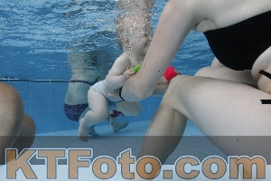 Photo 4261551
