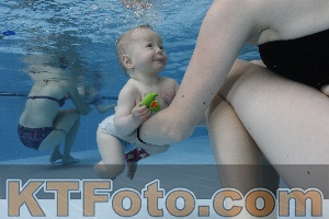 Photo 4261552