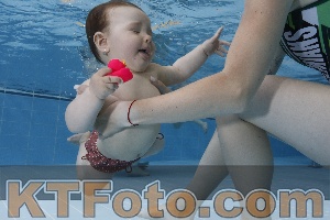 Photo 4261554