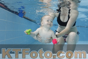 Photo 4261562
