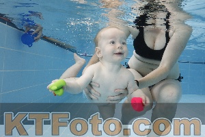Photo 4261563