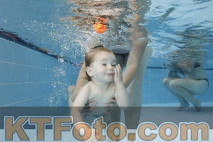 Photo 4261574