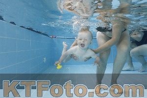 Photo 4261575
