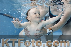 Photo 4261577
