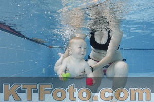 Photo 4261578