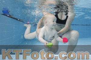 Photo 4261579