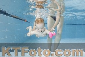 Photo 4261582