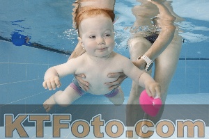 Photo 4261584