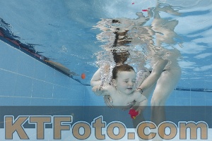 Photo 4261585
