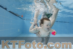 Photo 4261586
