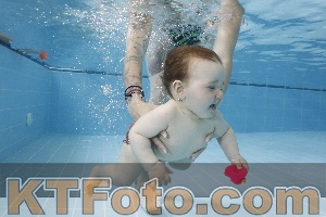 Photo 4261587