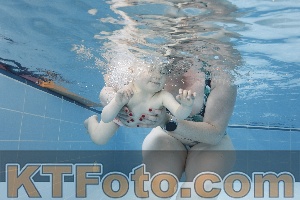 Photo 4261588