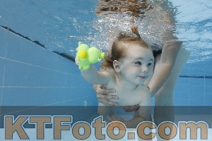 Photo 4261592