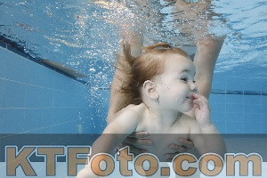 Photo 4261593