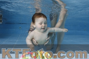 Photo 4261602
