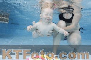 Photo 4261607