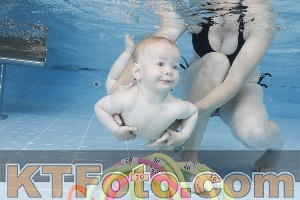 Photo 4261610