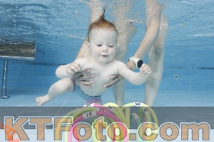 Photo 4261613