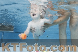 Photo 4261618
