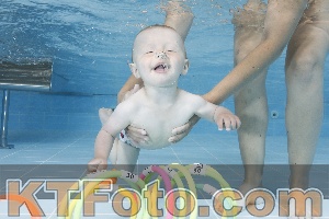 Photo 4261621