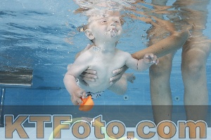 Photo 4261622