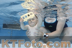 Photo 4261623