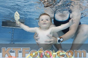 Photo 4261625