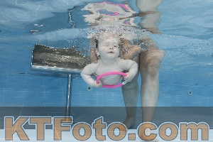 Photo 4261626