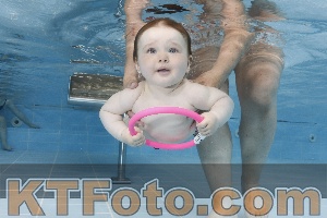 Photo 4261629