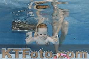 Photo 4261632